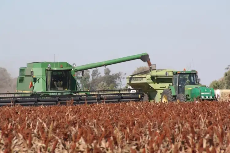 Seventh view of Homely rural property listing, 1553 Humbug Road, The Gums QLD 4406