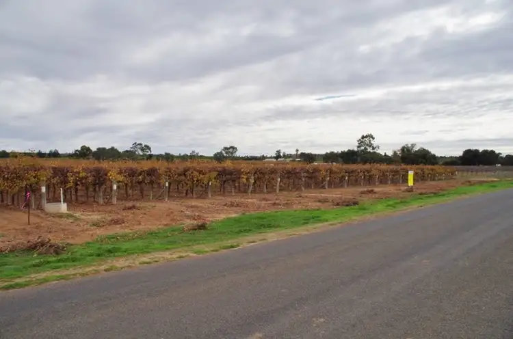 Lot 51 Chowilla Street, Renmark SA 5341