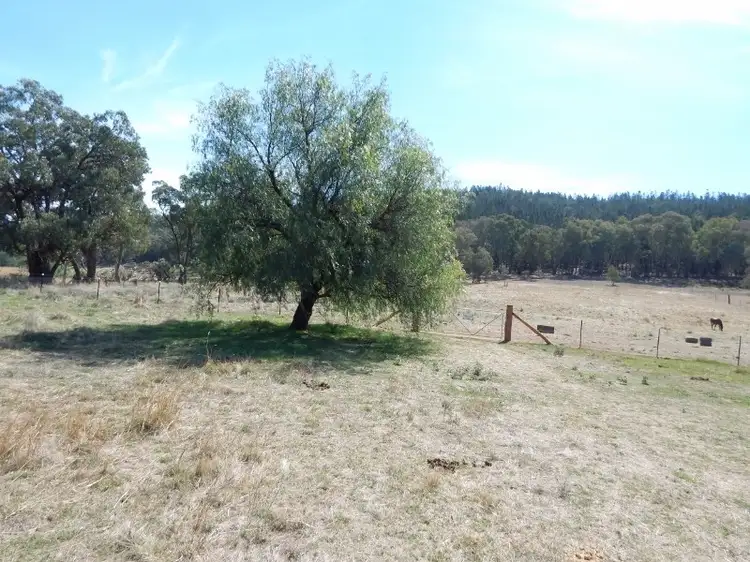 Third view of Homely rural property listing, 32 Clay Pit Road, Cowra NSW 2794