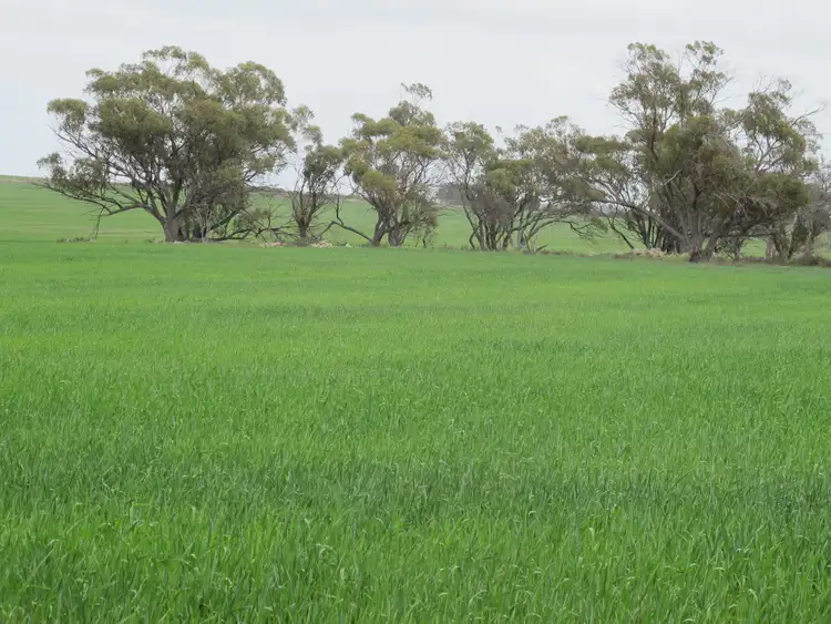 Sixth view of Homely rural property listing, Balannada Farm Marchagee, Coorow WA 6515