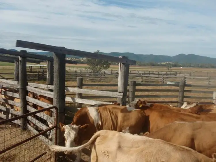 Sixth view of Homely rural property listing, 6307 Riverton Road, Riverton QLD 4385