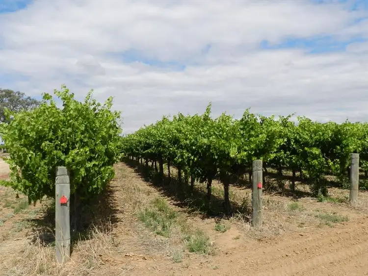 Fourth view of Homely rural property listing, 57 and 58 Schell Road, Cobdogla SA 5346