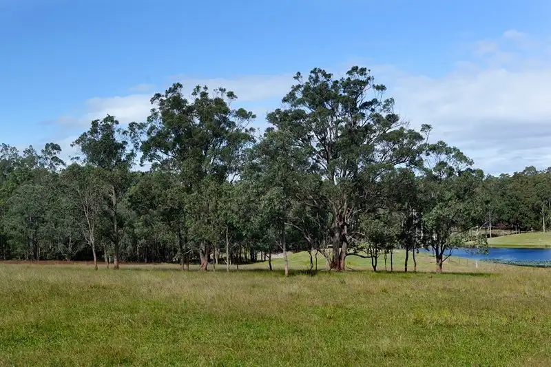 Main view of Homely rural property listing, 90 Bull Hill Road, Tinonee NSW 2430
