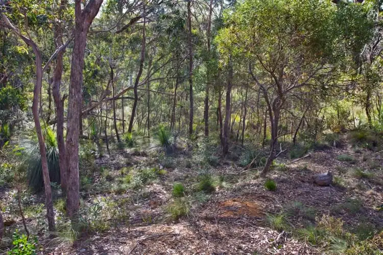 Block 8 - Lot 173 and 125  DP 16449 - 40 Godson Avenue, Blackheath NSW 2785