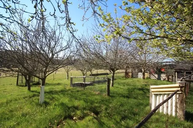 Seventh view of Homely rural property listing, 250 Rutters Ridge Road, Oberon NSW 2787