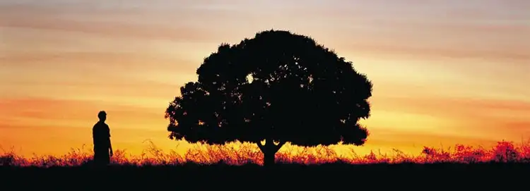 Fourth view of Homely land listing, 309 Dingo Park Road, Woodstock QLD 4816