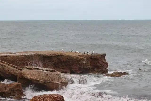 Fourth view of Homely land listing, Allotment 1 Blombery Road, Arno Bay SA 5603