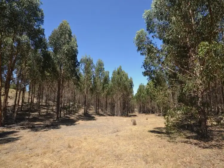 Sixth view of Homely rural property listing, Forest Road, Lexton VIC 3352