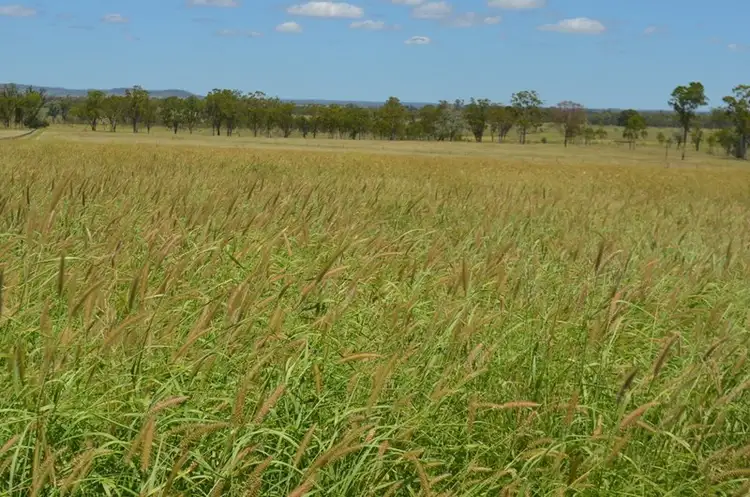 Fourth view of Homely rural property listing, 'Barralong' Taylors Road, Mundubbera QLD 4626