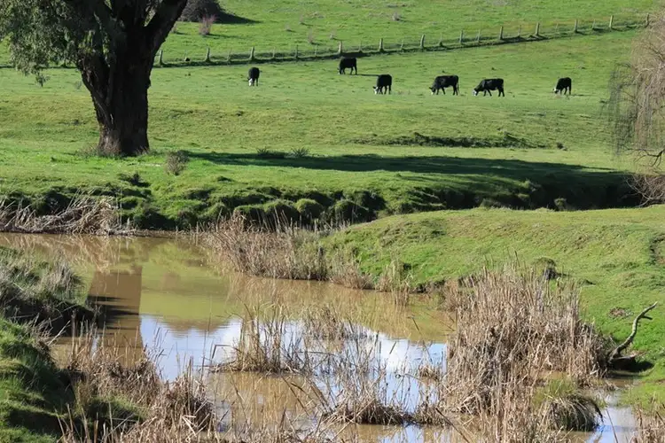 Fifth view of Homely rural property listing, Rosalie Hume Highway, Tarcutta NSW 2652