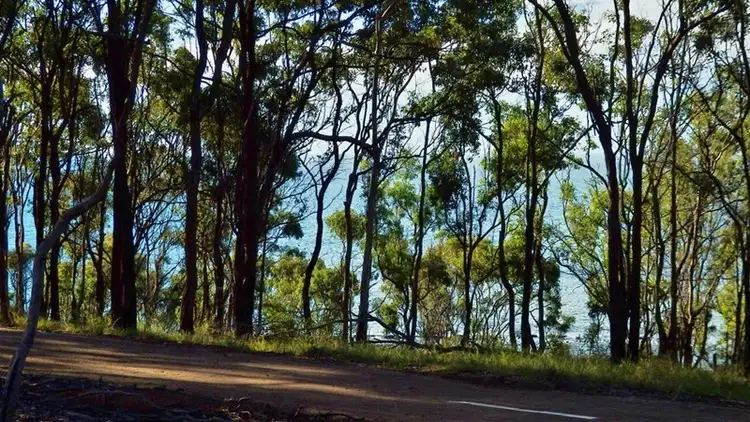 42 Esplanade, Point Vernon QLD 4655