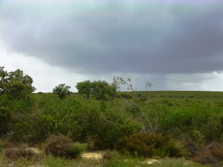 Fifth view of Homely land listing, L260 Seaview Drive, Karakin WA 6044