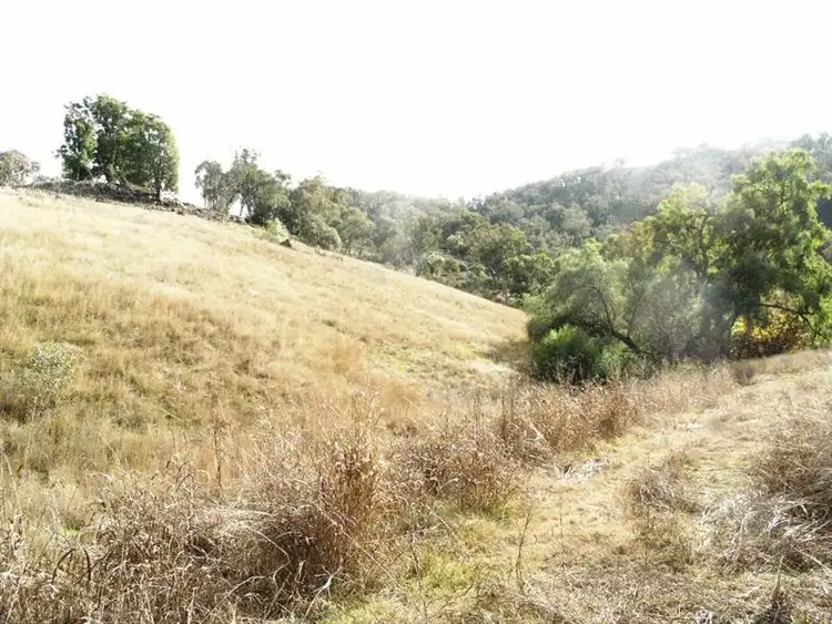 Seventh view of Homely rural property listing, 1645 Nundle Road, Piallamore NSW 2340