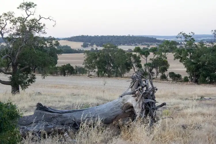 Sixth view of Homely rural property listing, 117 Bradford exchange Road, Narrogin WA 6312