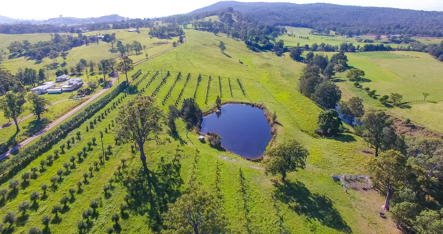 Main view of Homely rural property listing, 237 Fishers Hill Road, Vacy NSW 2421