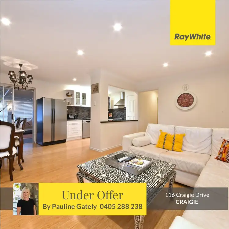 Main view of Homely house listing, 116 Craigie Drive, Craigie WA 6025