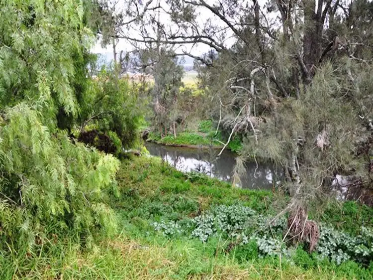 Fourth view of Homely rural property listing, 1/280 Moobi Road, Scone NSW 2337