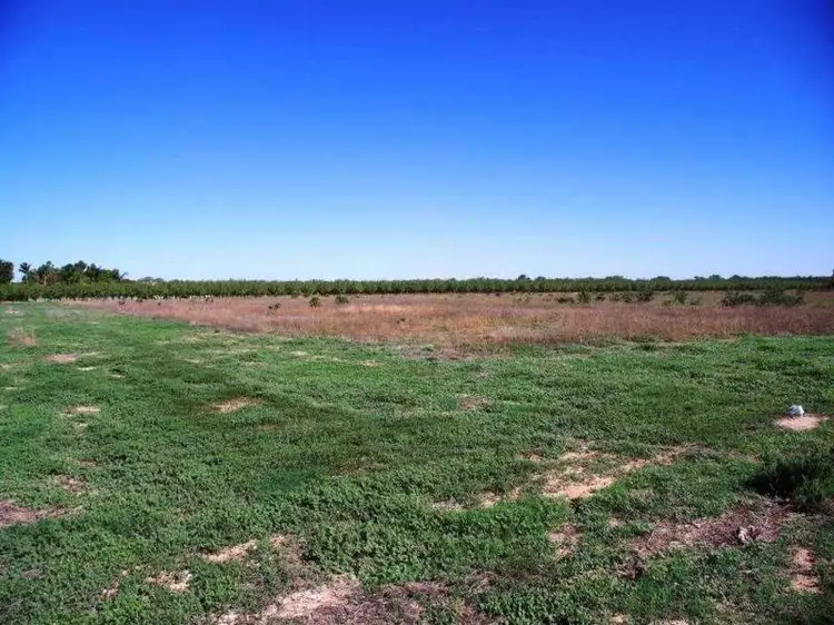 LOT/298 Twentyeighth Street, Renmark SA 5341
