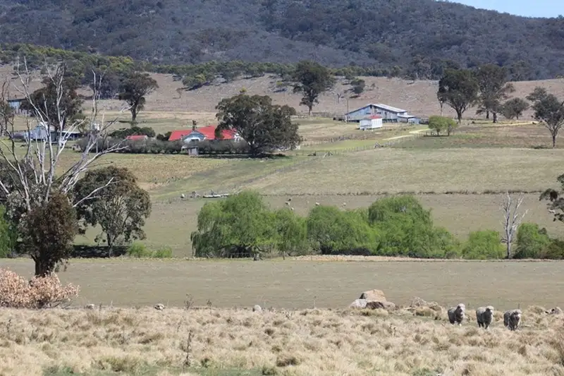 Main view of Homely rural property listing, 924A Kildare Road, Tenterfield NSW 2372