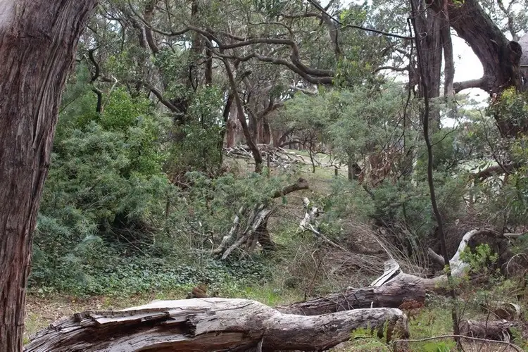 Seventh view of Homely land listing, Lot 4 and 5 Rarkang Road, Silverton SA 5204