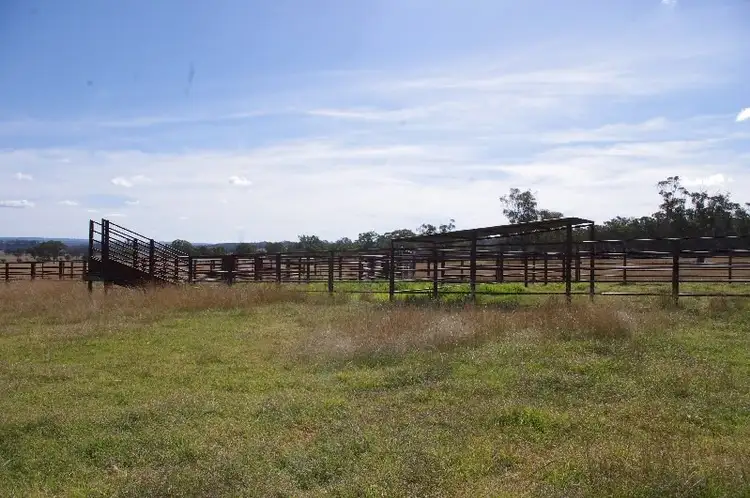 Fifth view of Homely rural property listing, 245 Nullamanna Road, Inverell NSW 2360