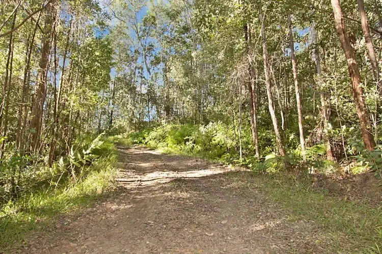 Second view of Homely rural property listing, 1449 Tyalgum Road, Tyalgum NSW 2484