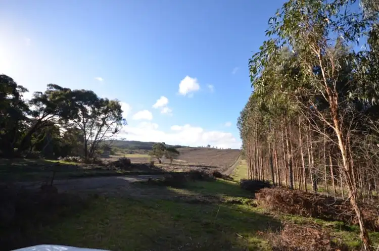 Sixth view of Homely rural property listing, Papadimitriou Graveyard Hill Road, Raglan VIC 3373