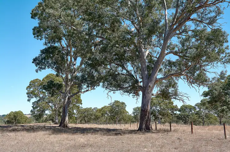 Third view of Homely land listing, Lot 2 Ironstone Range Road, Nairne SA 5252