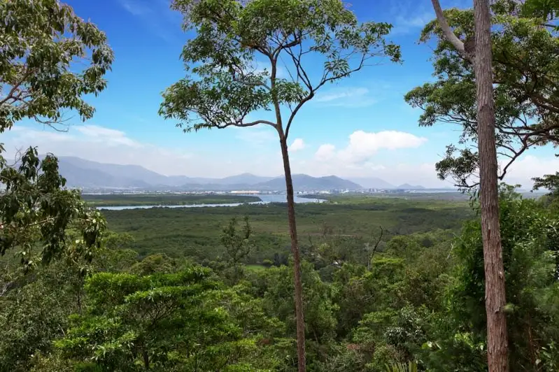 Main view of Homely house listing, 1338 Pine Creek Road, East Trinity QLD 4871