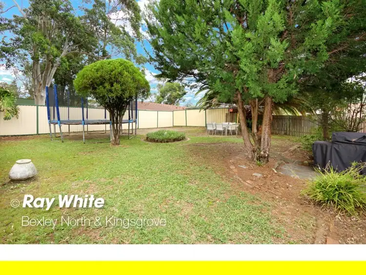 Fifth view of Homely house listing, 34 Barnsbury Grove, Bexley North NSW 2207
