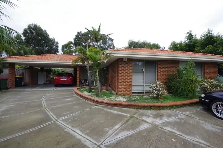 Main view of Homely house listing, 16 Lorets Green, Mirrabooka WA 6061