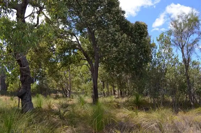 10 Harling Way, Bullsbrook WA 6084