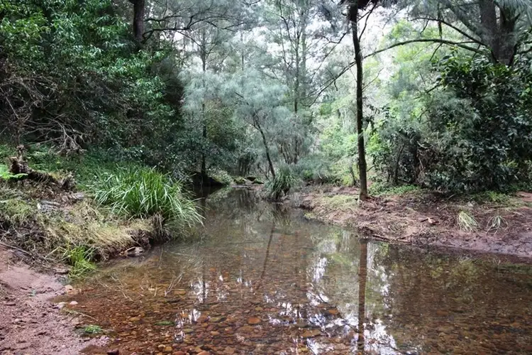 Third view of Homely rural property listing, 436 Cedar Creek Road, Cedar Creek NSW 2325