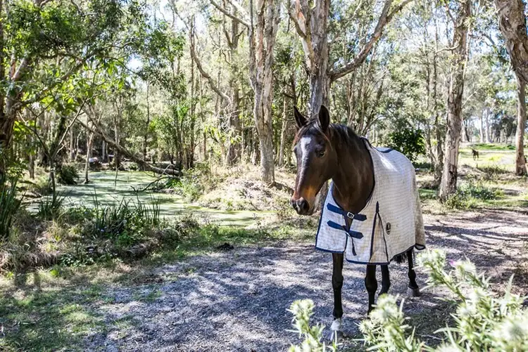 Second view of Homely house listing, 85-91 Warren Street, Mount Cotton QLD 4165