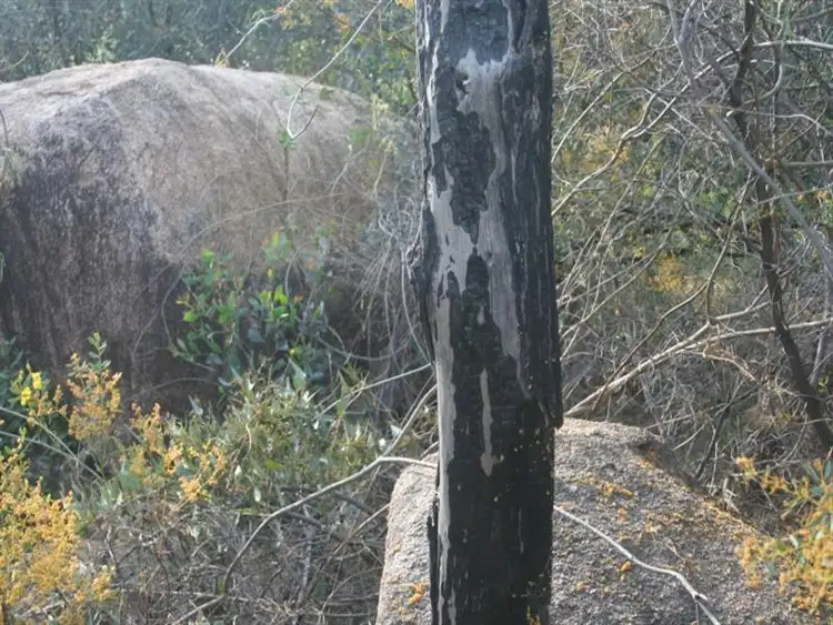 Third view of Homely land listing, Lot 10 West Street, Eugowra NSW 2806