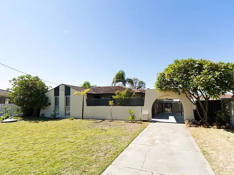 Main view of Homely house listing, 24 Mataitai Loop, Cooloongup WA 6168