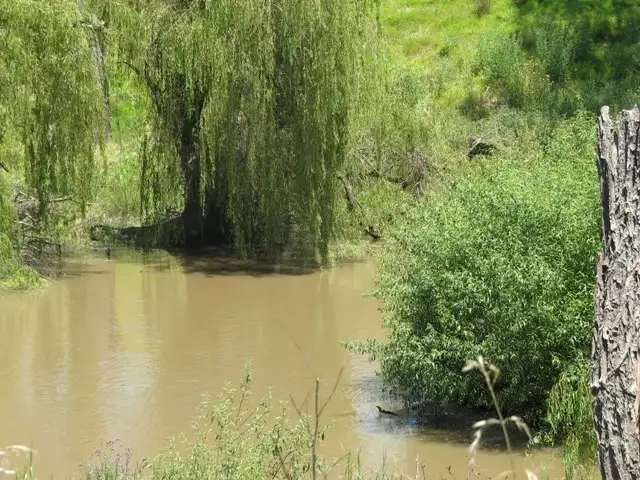 Second view of Homely rural property listing, 120 Carro Park Road, Cowra NSW 2794