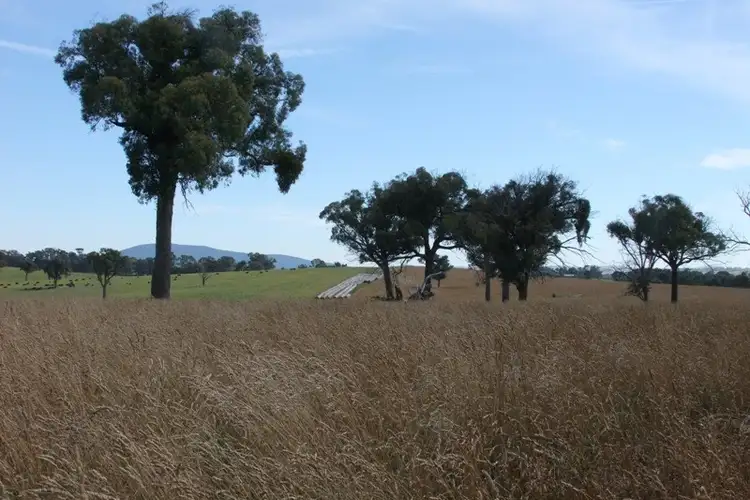 Sixth view of Homely rural property listing, 90 Sunset Hills Road, Blayney NSW 2799