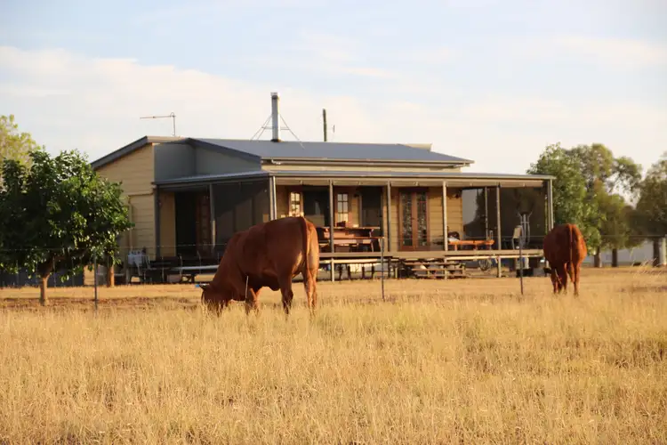 Main view of Homely rural property listing, 0 BURRADOO, Roma QLD 4455
