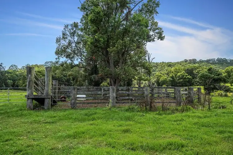 Seventh view of Homely rural property listing, 803-809 Cudgera Creek Road, Cudgera Creek NSW 2484