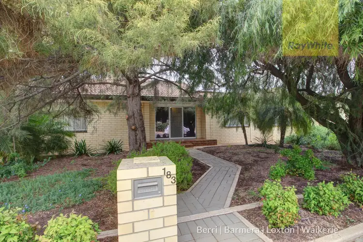 183 Thurk Street, Renmark SA 5341