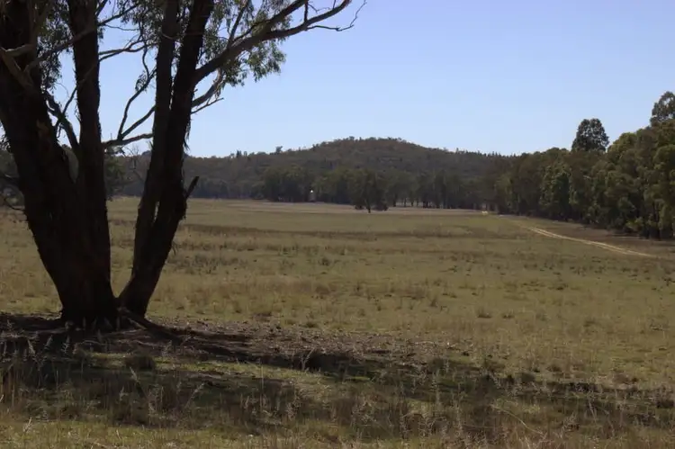 Third view of Homely rural property listing, 230 Tothills "BANGALAY NORTH", Coonabarabran NSW 2357