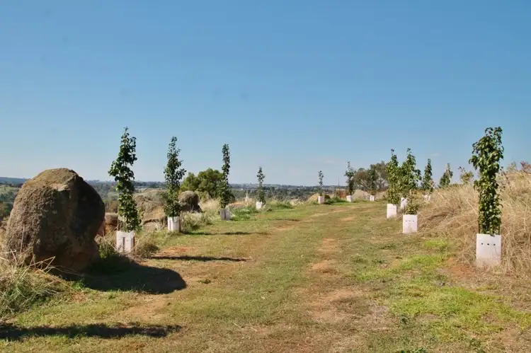 Sixth view of Homely land listing, 20 Curtis Place, Young NSW 2594