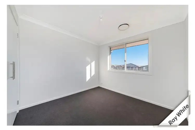 Fifth view of Homely house listing, 19 Munjuwa Street, Ngunnawal ACT 2913