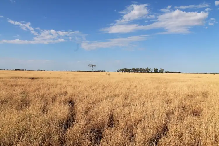 Fourth view of Homely rural property listing, 28456 Tambo Road, Blackall QLD 4472