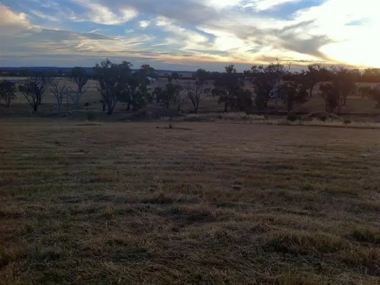 Seventh view of Homely rural property listing, 24 Hazelton Place, Murringo NSW 2586
