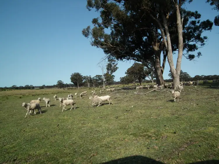 Main view of Homely rural property listing, "Dwyers" Snipey Road, Kirwans Bridge VIC 3608