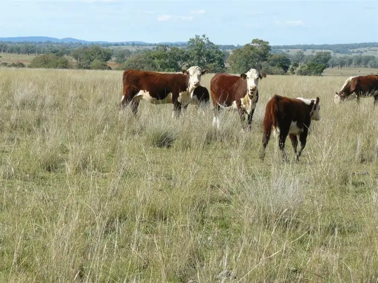Second view of Homely rural property listing, " Box Hill ", Bingara NSW 2404