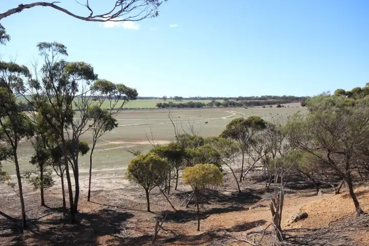 Main view of Homely land listing, Lot 13 Kulin-Dudinin, Dudinin WA 6363