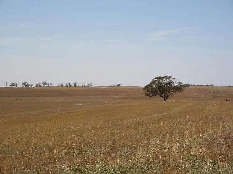 Main view of Homely rural property listing, Lot 7 Hayward Road, Lameroo SA 5302